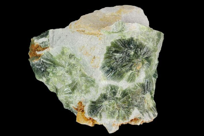 Radiating, Green Wavellite Crystal Aggregation - Arkansas #127127